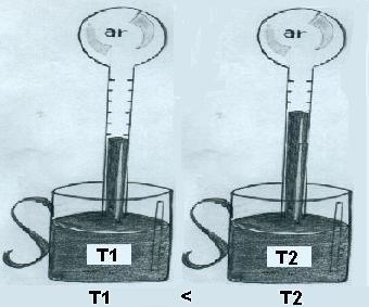 Termoscópio: quanto maior a temperatura, maior a altura da coluna de líquido.