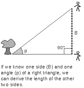 the surveyor's triangle